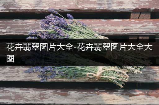花卉翡翠图片大全-花卉翡翠图片大全大图