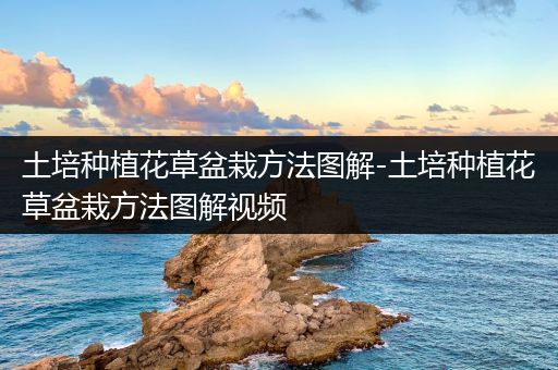 土培种植花草盆栽方法图解-土培种植花草盆栽方法图解视频