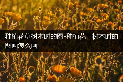 种植花草树木时的图-种植花草树木时的图画怎么画