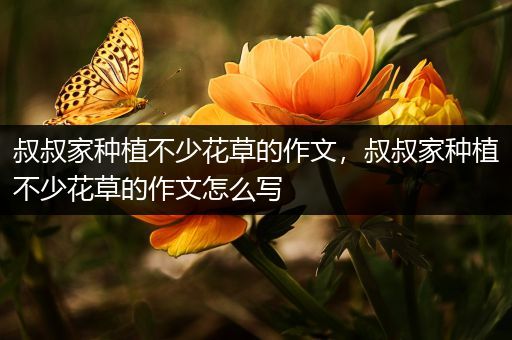 叔叔家种植不少花草的作文，叔叔家种植不少花草的作文怎么写