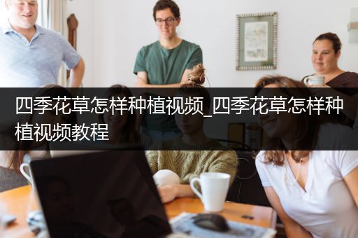 四季花草怎样种植视频_四季花草怎样种植视频教程