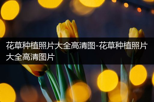 花草种植照片大全高清图-花草种植照片大全高清图片