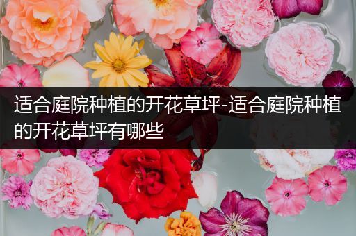 适合庭院种植的开花草坪-适合庭院种植的开花草坪有哪些