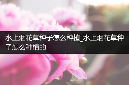 水上烟花草种子怎么种植_水上烟花草种子怎么种植的