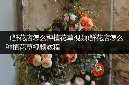 （鲜花店怎么种植花草视频)鲜花店怎么种植花草视频教程