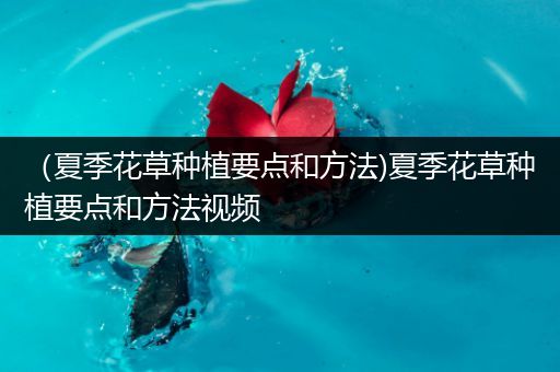 （夏季花草种植要点和方法)夏季花草种植要点和方法视频