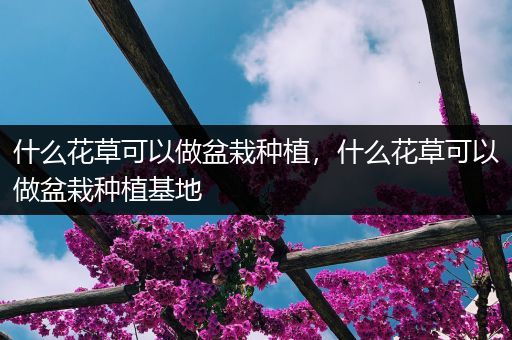 什么花草可以做盆栽种植，什么花草可以做盆栽种植基地