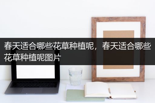 春天适合哪些花草种植呢，春天适合哪些花草种植呢图片