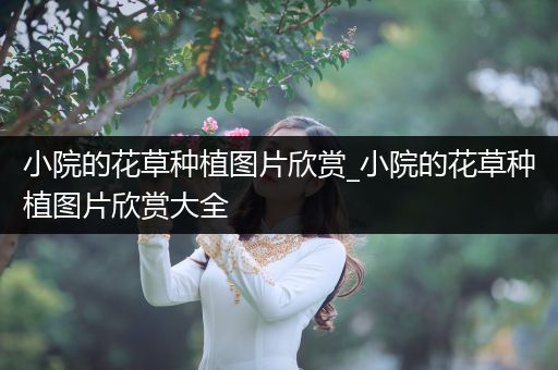 小院的花草种植图片欣赏_小院的花草种植图片欣赏大全