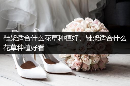 鞋架适合什么花草种植好，鞋架适合什么花草种植好看