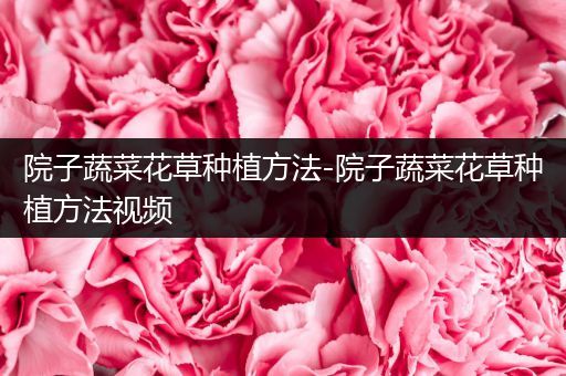 院子蔬菜花草种植方法-院子蔬菜花草种植方法视频
