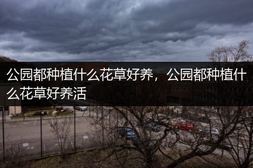公园都种植什么花草好养，公园都种植什么花草好养活