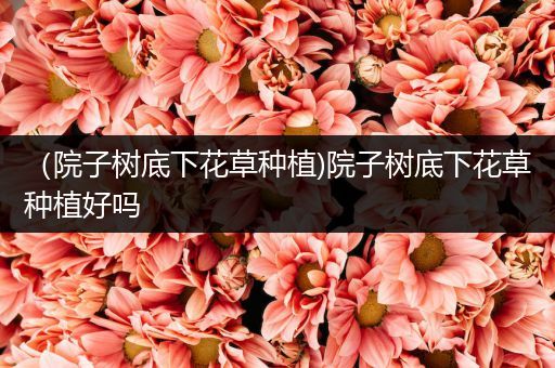 （院子树底下花草种植)院子树底下花草种植好吗