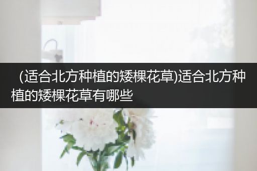 （适合北方种植的矮棵花草)适合北方种植的矮棵花草有哪些