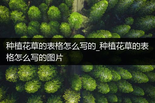 种植花草的表格怎么写的_种植花草的表格怎么写的图片