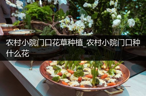 农村小院门口花草种植_农村小院门口种什么花