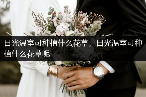 日光温室可种植什么花草，日光温室可种植什么花草呢