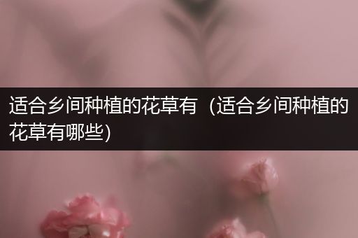 适合乡间种植的花草有（适合乡间种植的花草有哪些）