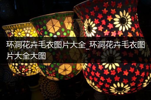 环洞花卉毛衣图片大全_环洞花卉毛衣图片大全大图