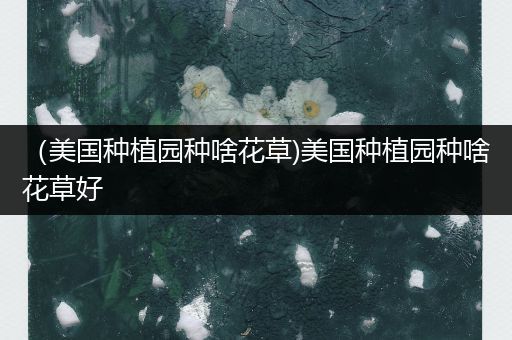 （美国种植园种啥花草)美国种植园种啥花草好