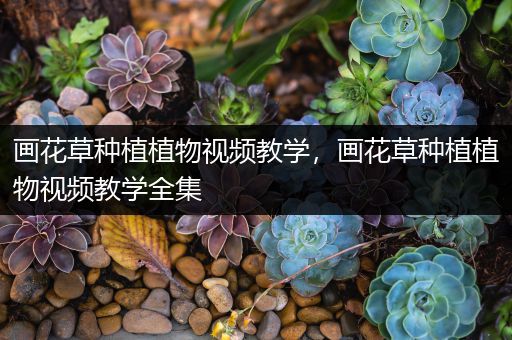 画花草种植植物视频教学，画花草种植植物视频教学全集