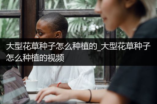 大型花草种子怎么种植的_大型花草种子怎么种植的视频