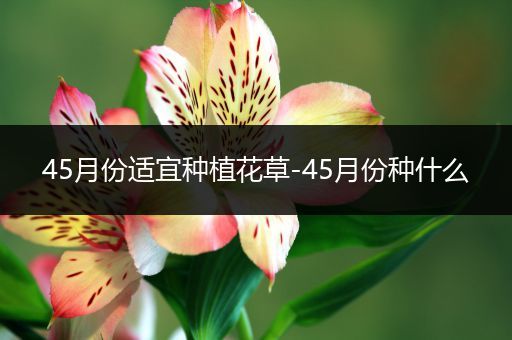 45月份适宜种植花草-45月份种什么