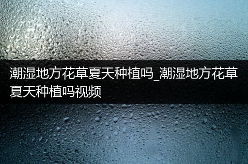 潮湿地方花草夏天种植吗_潮湿地方花草夏天种植吗视频
