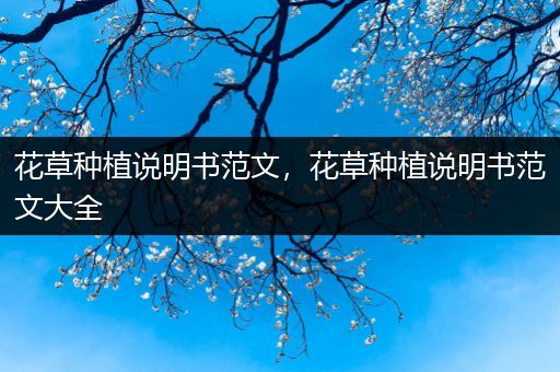 花草种植说明书范文，花草种植说明书范文大全