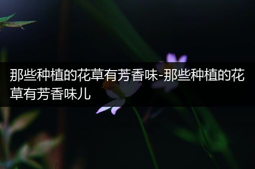 那些种植的花草有芳香味-那些种植的花草有芳香味儿