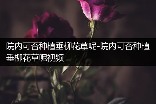 院内可否种植垂柳花草呢-院内可否种植垂柳花草呢视频