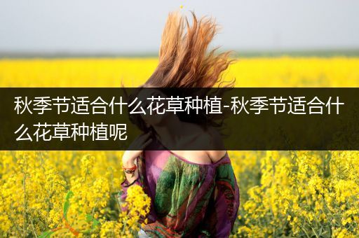 秋季节适合什么花草种植-秋季节适合什么花草种植呢