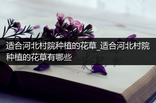 适合河北村院种植的花草_适合河北村院种植的花草有哪些