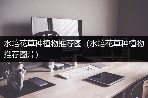 水培花草种植物推荐图（水培花草种植物推荐图片）