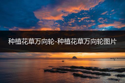 种植花草万向轮-种植花草万向轮图片
