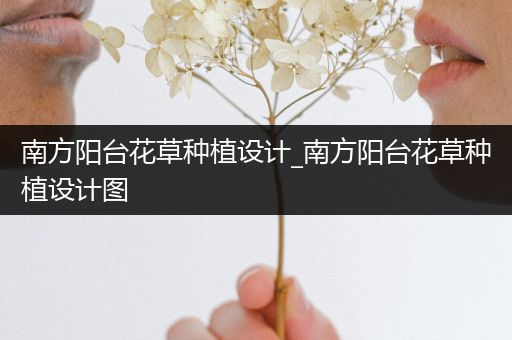 南方阳台花草种植设计_南方阳台花草种植设计图
