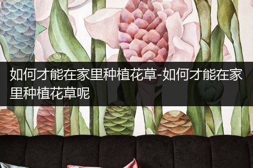 如何才能在家里种植花草-如何才能在家里种植花草呢