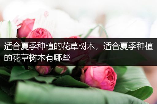 适合夏季种植的花草树木，适合夏季种植的花草树木有哪些