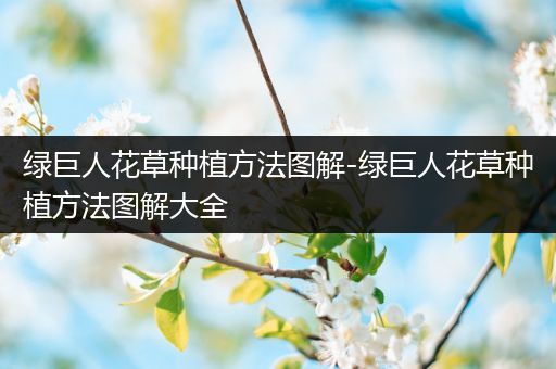 绿巨人花草种植方法图解-绿巨人花草种植方法图解大全