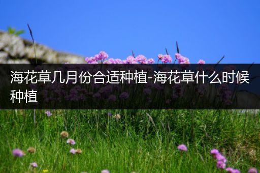 海花草几月份合适种植-海花草什么时候种植