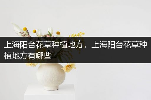 上海阳台花草种植地方，上海阳台花草种植地方有哪些