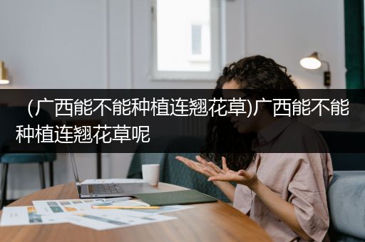 （广西能不能种植连翘花草)广西能不能种植连翘花草呢