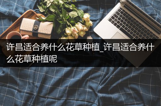 许昌适合养什么花草种植_许昌适合养什么花草种植呢