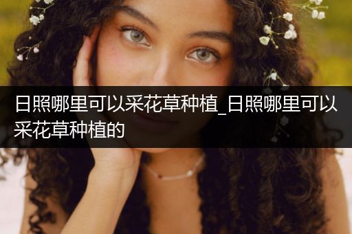 日照哪里可以采花草种植_日照哪里可以采花草种植的
