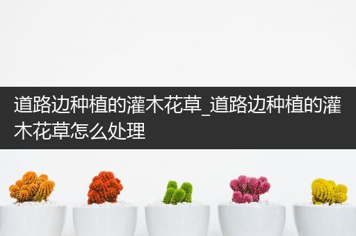 道路边种植的灌木花草_道路边种植的灌木花草怎么处理