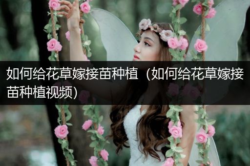 如何给花草嫁接苗种植（如何给花草嫁接苗种植视频）