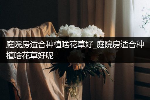 庭院房适合种植啥花草好_庭院房适合种植啥花草好呢