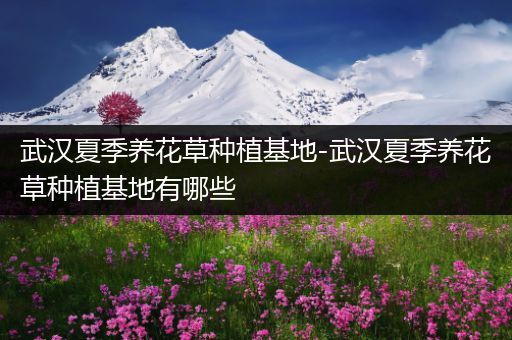 武汉夏季养花草种植基地-武汉夏季养花草种植基地有哪些