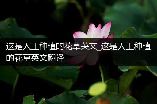这是人工种植的花草英文_这是人工种植的花草英文翻译