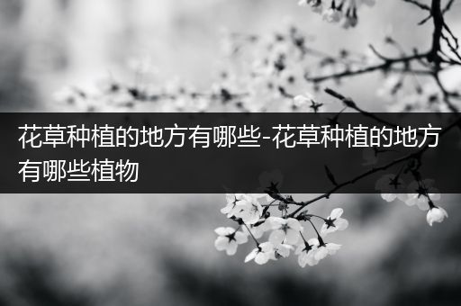 花草种植的地方有哪些-花草种植的地方有哪些植物